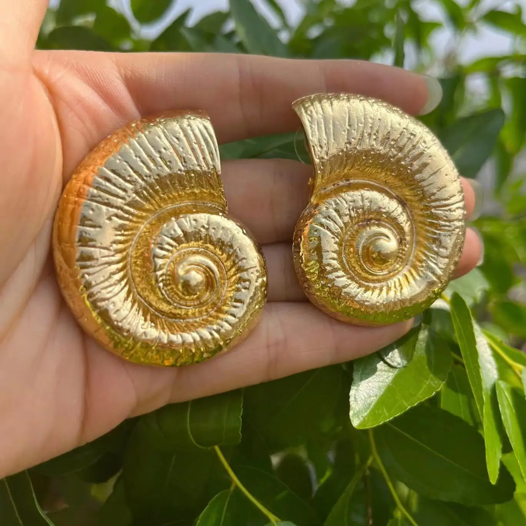 Hamptons Shell Earrings