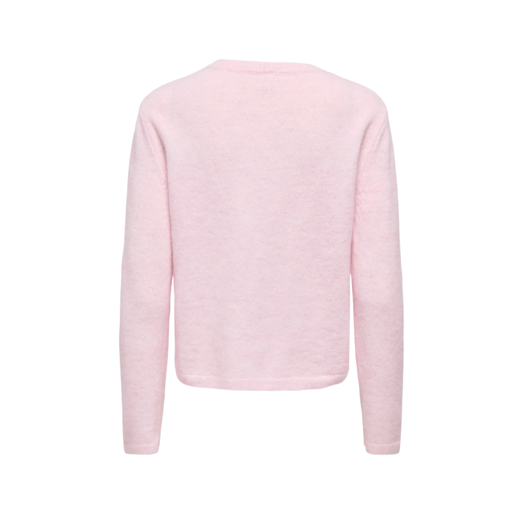 Dachshund Cardigan - Pink