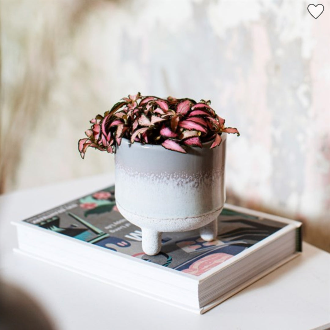 Glaze grey planter