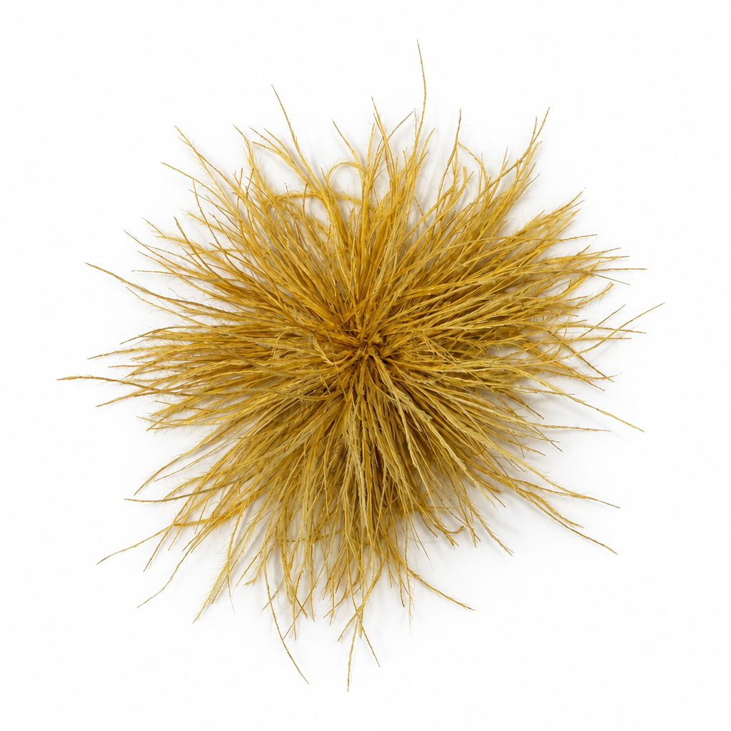 Feather Brooch