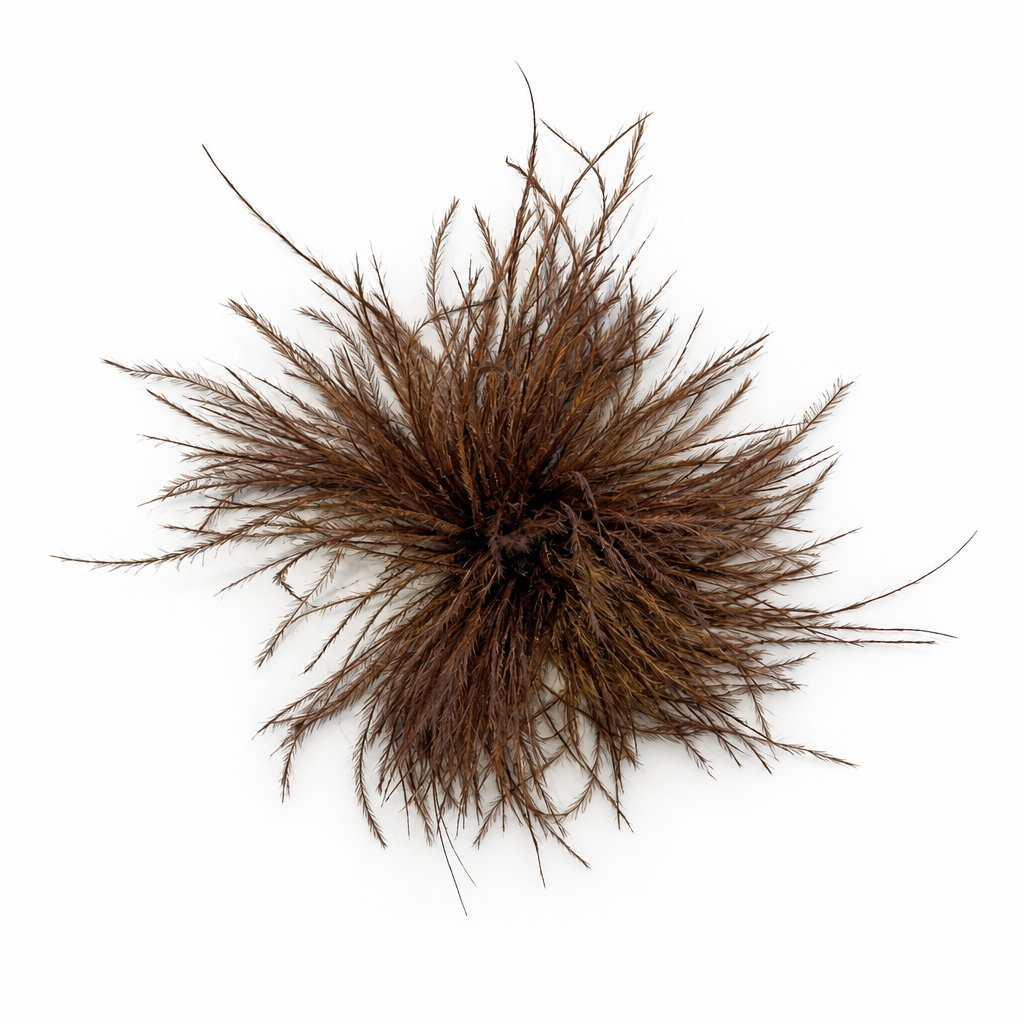 Feather Brooch