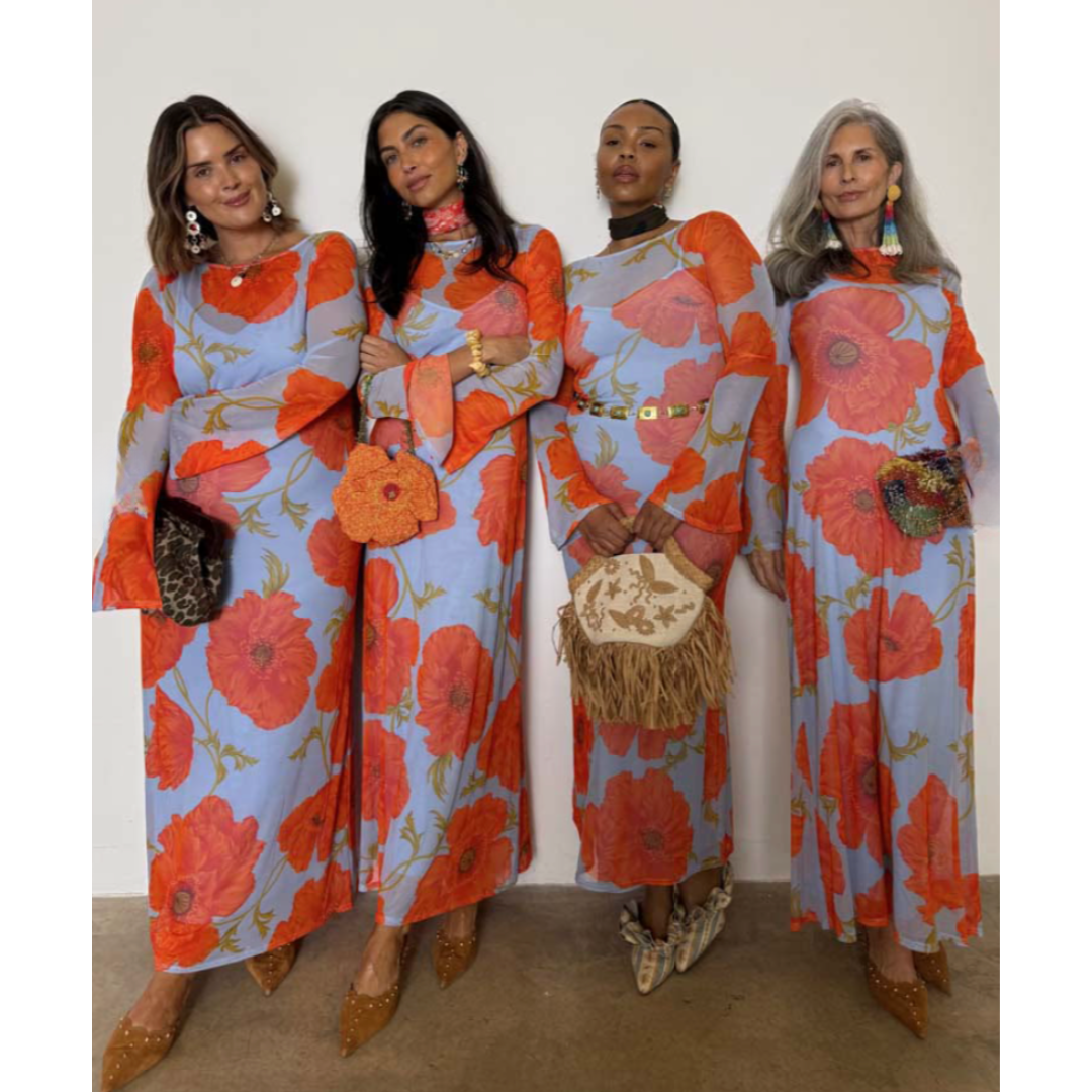Blue Poppy Aria Mesh Dress