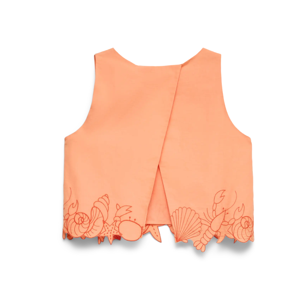 Lucia Embroidered Cotton Top