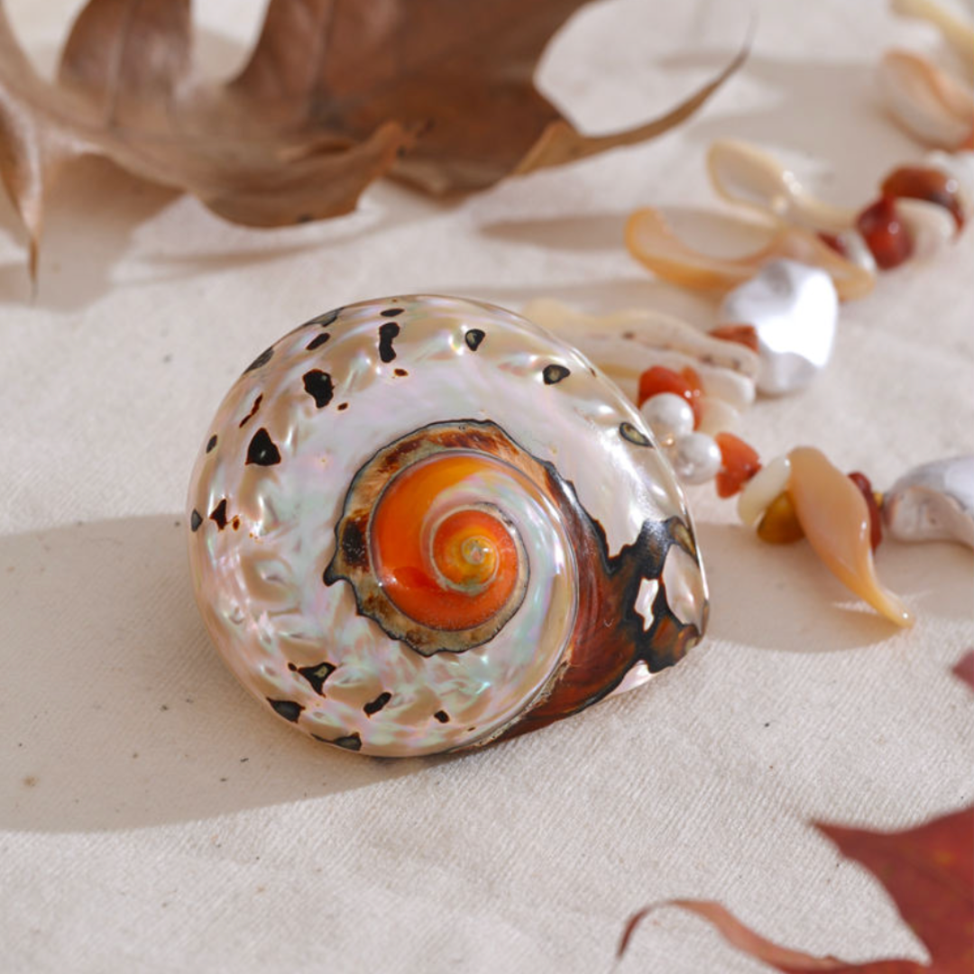 Conch Shell Necklace